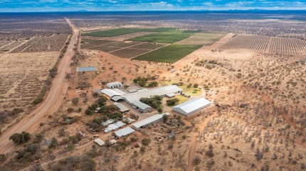 Limpopo Citrus Packhouse (1)