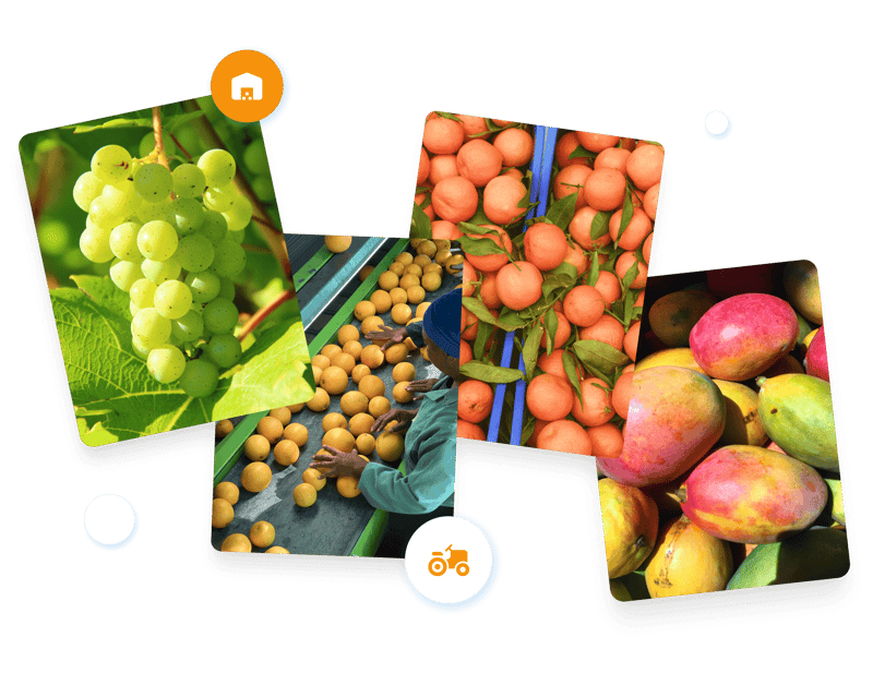 Solution for Suppliers in the Fresh Produce Trade