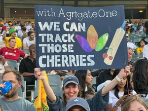 AgrigateOne | We can track those Berries