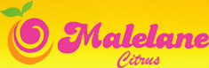 Malelane Sitrus Koöperasie logo